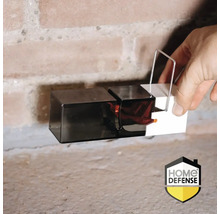 Een hand zet een muizenval op de grond.