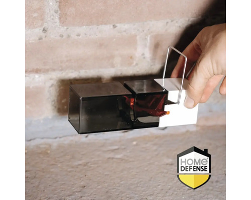 Een hand zet een muizenval op de grond.