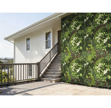 Muur van een huis met verticale tuin en trap