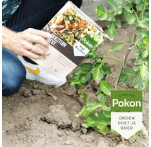 Persoon houdt Pokon biologische moestuinmest vast naast een plant