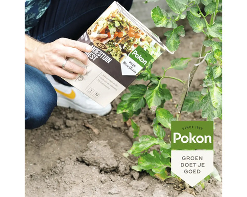 Persoon houdt Pokon biologische moestuinmest vast naast een plant