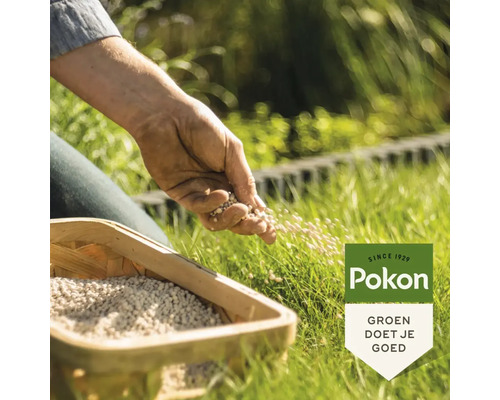 Iemand bemest een gazon met meststof uit een houten bak. Pokon Logo.