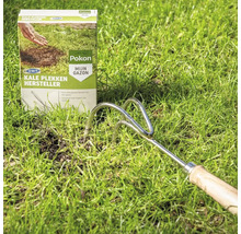 Pokon herstelzaad voor kale plekken en een stalen riek in het gazon