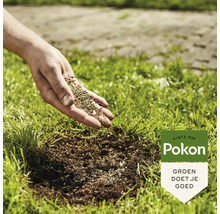 Een hand zaait graszaad op een gazon, Pokon Logo.