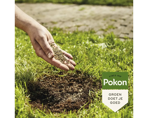Een hand zaait graszaad op een gazon, Pokon Logo.