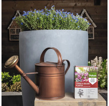 Scene met gieter, bloempot met blauwe bloemen en verpakking bloemenvoeding voor terras- en balkonplanten