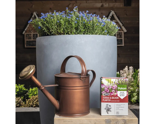 Scene met gieter, bloempot met blauwe bloemen en verpakking bloemenvoeding voor terras- en balkonplanten