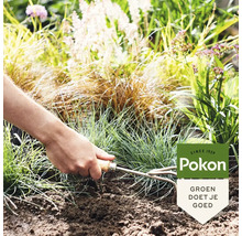 Een hand gebruikt een tuinkrabber in een tuinbed met het opschrift Pokon Groen Doet Je Goed.