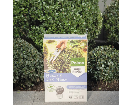 Pokon Buxus en Hulst Mest pakket