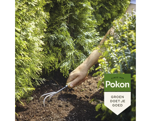 Persoon harkt aarde naast een boom met Pokon logo.