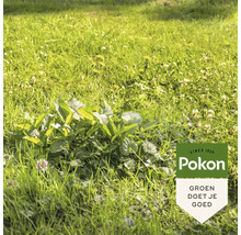 Onkruid in het gras met Pokon logo