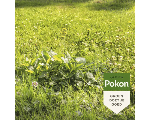Onkruid in het gras met Pokon logo