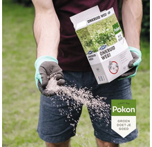 Een persoon strooit Pokon onkruidverdelger op het gazon