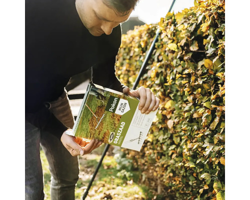 Een persoon houdt een pak Pokon Mijn Gazon graszaad vast voor een heg.