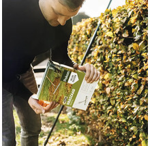 Een persoon houdt een pak Pokon Mijn Gazon graszaad vast voor een heg.
