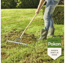 Een persoon gebruikt een gazonbeluchter in de tuin. Pokon Logo.