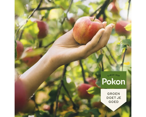 Een hand plukt een rijpe appel van een boom, Pokon Logo.