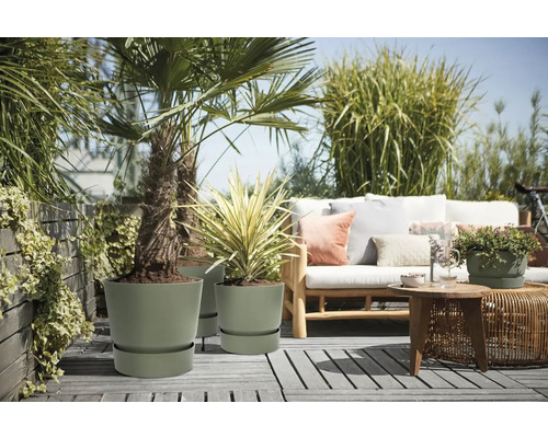 Modern terras met olijfgroene plantenpotten, een palmboom en een houten bank met kussens op een grijs houten dek.