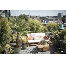 Licht en zonnig dakterras met houten bank, kussens, bijzettafels en diverse planten in groene plantenpotten op een houten vlonder.