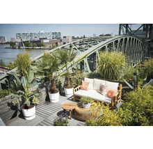 Dakterras met bamboe bank, houten tafels en palmen in potten tegen een stedelijke achtergrond met een brug en een rivier.