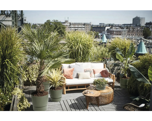 Dakterras met houten bank, kussens, sierkussens, ronde bijzettafels en diverse potplanten zoals palmen en siergrassen.