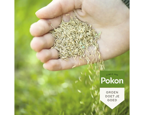 Hand houdt graszaad vast en zaait dit uit over een gazon, Pokon Logo.