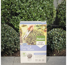 Pokon Buxus en Ilex Mest Mijn Border, 2,5 kilogram, organische meststof voor buxus en hulst.