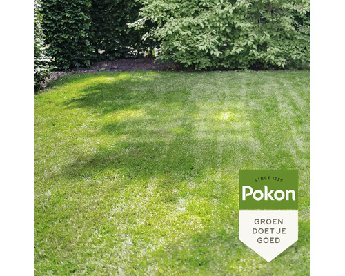Goed onderhouden, licht gazon in een tuin met struiken en bomen op de achtergrond. Pokon Logo.
