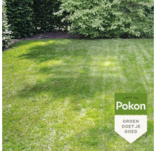 Goed onderhouden, licht gazon in een tuin met struiken en bomen op de achtergrond. Pokon Logo.