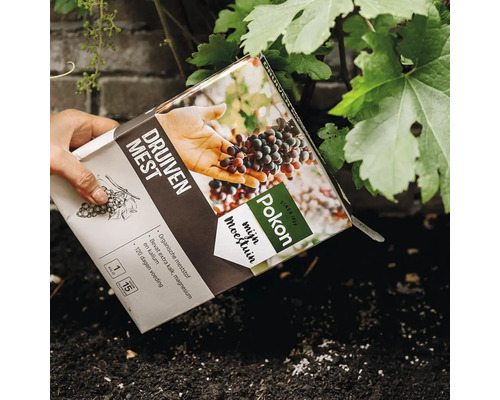 Een hand strooit Pokon druivenmest uit de verpakking op de aarde bij een druivenstruik.