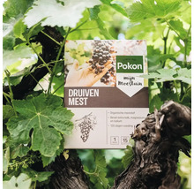 Pak Pokon druivenmest tussen wijnranken, 1 kilogram organische meststof met kalk, magnesium en kalium voor 120 dagen voeding. Pokon Logo.