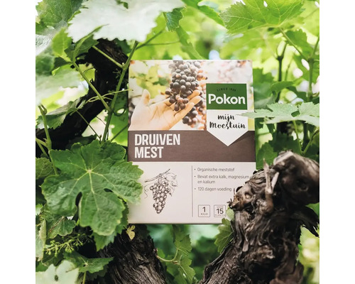 Pak Pokon druivenmest tussen wijnranken, 1 kilogram organische meststof met kalk, magnesium en kalium voor 120 dagen voeding. Pokon Logo.