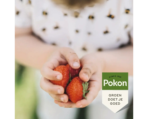 Kinderhanden houden verse aardbeien vast, Pokon Logo.