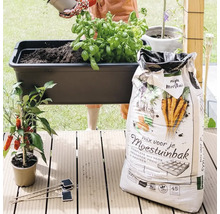 Aanplanten van een zwarte kweektafel naast een zak van 45 liter mix voor de moestuinbak op een houten vlonder.