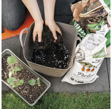 Iemand mengt potgrond met Perliet in een grijze kunststof teil. Ernaast staan zakken Pokon grond en Perliet en een tray met zaailingen.