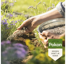 Handen strooien mestkorrels uit een metalen schaal op de tuingrond naast planten. Pokon Logo.