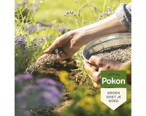 Handen strooien mestkorrels uit een metalen schaal op de tuingrond naast planten. Pokon Logo.