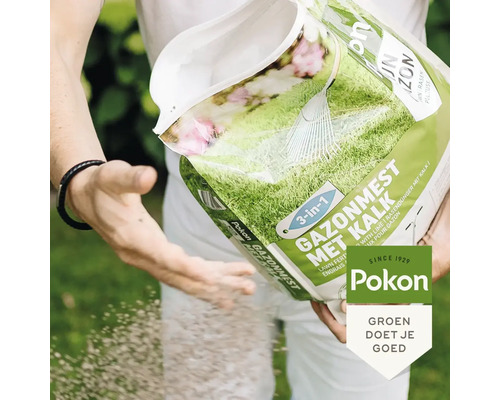 Een persoon strooit Pokon 3 in 1 Gazonmest met Kalk vanuit een verpakking op het gazon. Pokon Logo.