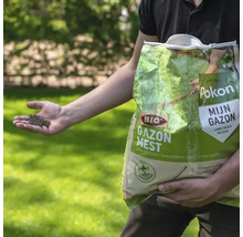Persoon houdt een zak Pokon Bio Gazonmest vast en toont korrels in de hand op een gazon.