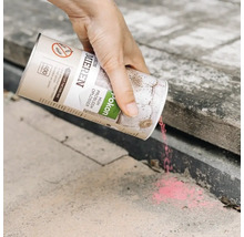 Een hand strooit Pokon Mieren granulaat uit een bus van 400 gram op stenen tegels ter bestrijding van mieren.