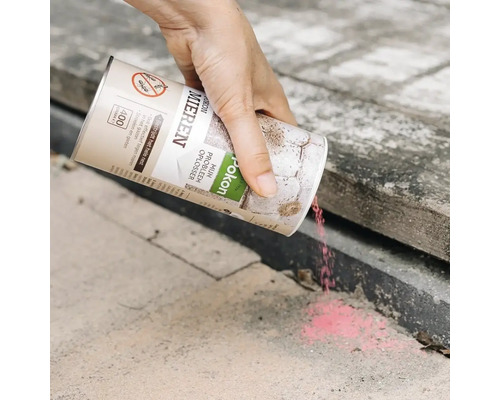 Een hand strooit Pokon Mieren granulaat uit een bus van 400 gram op stenen tegels ter bestrijding van mieren.