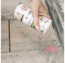 Een hand strooit mierenpoeder op stenen tegels buiten om mierennesten te bestrijden.