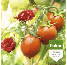 Tomaten met bladluizen op de stengel en Pokon Logo.