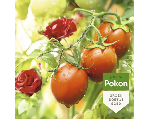 Tomaten met bladluizen op de stengel en Pokon Logo.