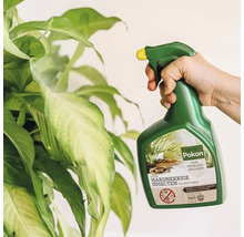 Hand die Pokon Bio tegen hardnekkige insecten spray op de bladeren van een kamerplant spuit.