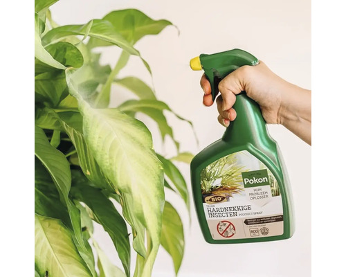 Hand die Pokon Bio tegen hardnekkige insecten spray op de bladeren van een kamerplant spuit.