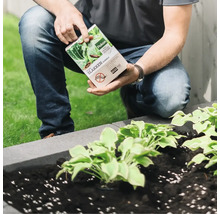 Een persoon houdt een verpakking Pokon Bio tegen slakken korrels vast bij een plantenbak met planten in de tuin.