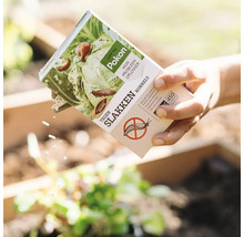 Een hand strooit Pokon Tegen Slakken korrels uit een verpakking over planten in een plantenbak.