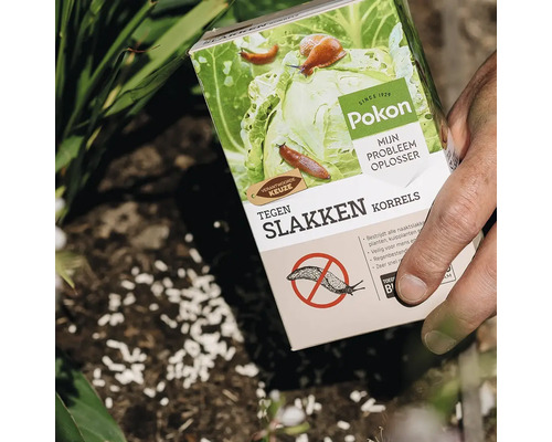 Een hand strooit Pokon tegen slakken korrels over de tuingrond, korrels op de aarde, Pokon Logo op de verpakking.