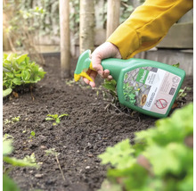 Hand spuit onkruidverdelger uit een spuitfles op onkruid in een tuinbed met aarde.